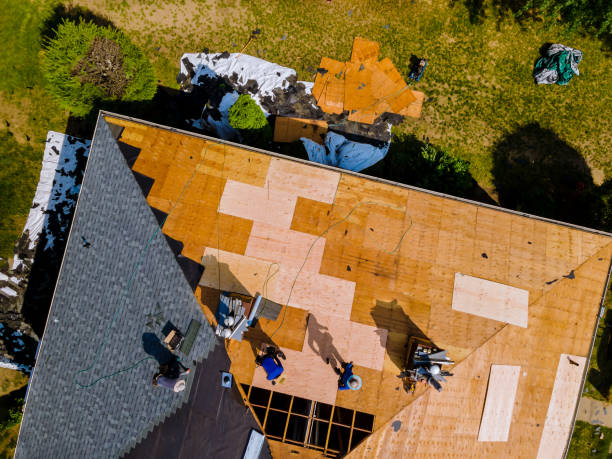 Quick and Trustworthy Emergency Roof Repair Services in Sugarmill Woods, FL